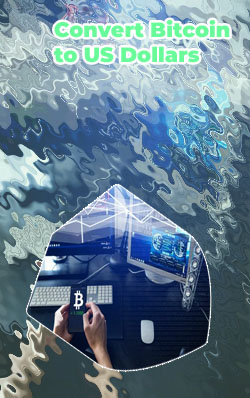 Bitcoin exchange calculator