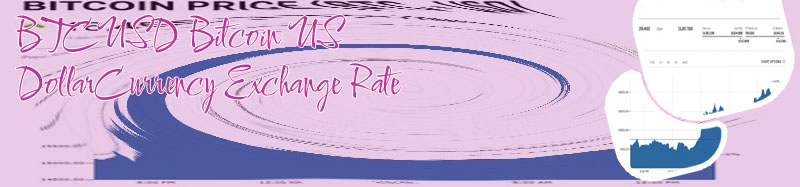 Bitcoin price usd live