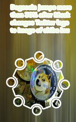 Companies using dogecoin