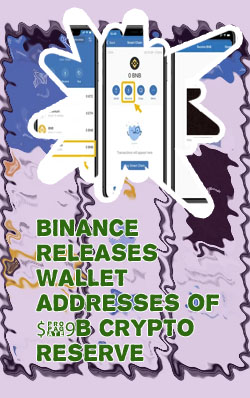 Is binance a crypto wallet