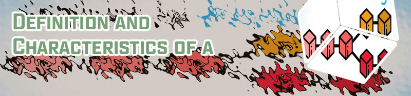 What is a fork crypto