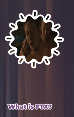 What when entire went full crypto